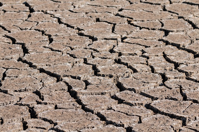 Campaña contra la sequía