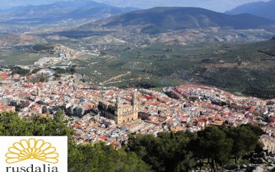 La ciudad de Jaén acogerá esta semana los actos anuales del Consejo Oleícola Internacional (COI).